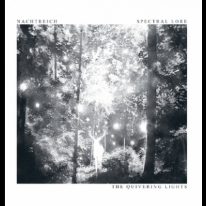 The Quivering Lights - Split