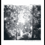 Nachtreich & Spectral Lore - The Quivering Lights - Split '2015