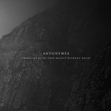 Antonymes - There Can Be No True Beauty Without Decay '2013