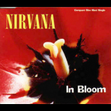 Nirvana - In Bloom '1992