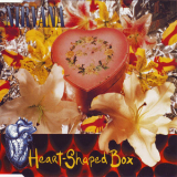 Nirvana - Heart-Shaped Box '1993