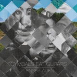 Cymbals Eat Guitars - Lenses Alien '2011