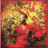 Gail Ann Dorsey - I Used To Be... '2004