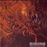 Carnage - Dark Recollections '1990