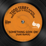 Todd Terry - Somthing Going On (Hani Remix) '2016