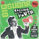 Big Sugar - Calling All the Youth '2015