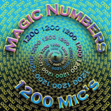 1200 Micrograms - Magic Numbers '2007