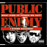 Public Enemy - What Kind Of Power We Got_i Stand Accused '1999