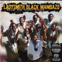 Ladysmith Black Mambazo - Raise Your Spirit Higher '2003
