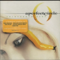 A Perfect Circle - Thirteenth Step '2003