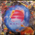 The Lightning Seeds -  Sense '1992