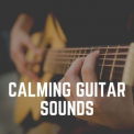 Various Artists - Calming Guitar Sounds '2022